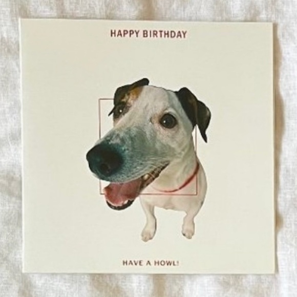 Happy Birthday, Have A Howl Birthday Card - Picture 7 of 7